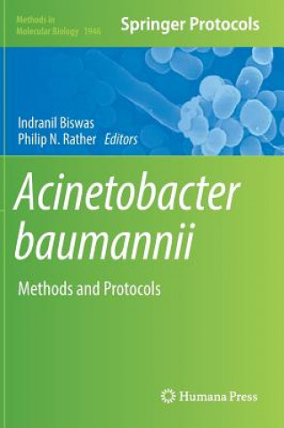 Knjiga Acinetobacter baumannii Indranil Biswas