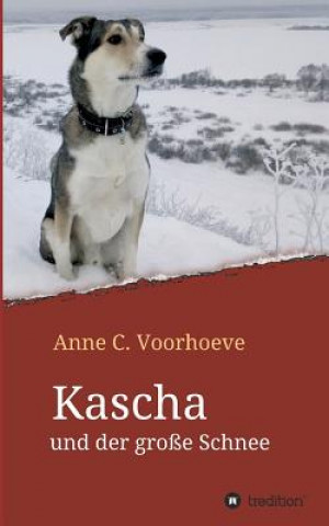 Knjiga Kascha und der große Schnee Anne C. Voorhoeve