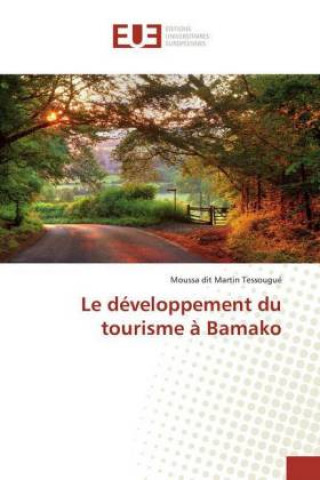 Boek Le développement du tourisme ? Bamako Moussa dit Martin Tessougué