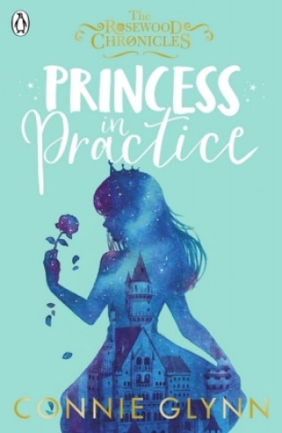 Kniha Princess in Practice Connie Glynn