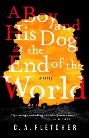 Kniha A Boy and His Dog at the End of the World C a Fletcher