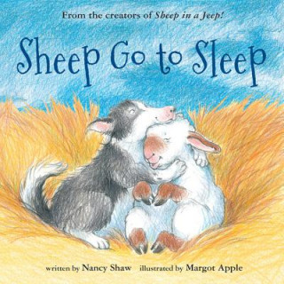 Buch Sheep Go to Sleep Nancy E. Shaw