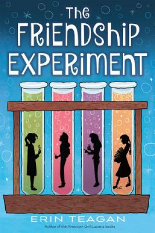 Kniha Friendship Experiment Erin Teagan