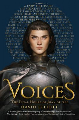 Kniha Voices: The Final Hours of Joan of Arc David Elliott