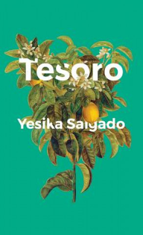 Kniha Tesoro Yesika Salgado