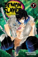 Carte Demon Slayer: Kimetsu no Yaiba, Vol. 7 Koyoharu Gotouge