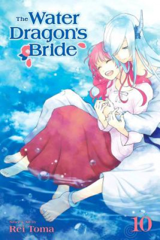 Könyv Water Dragon's Bride, Vol. 10 Rei Toma