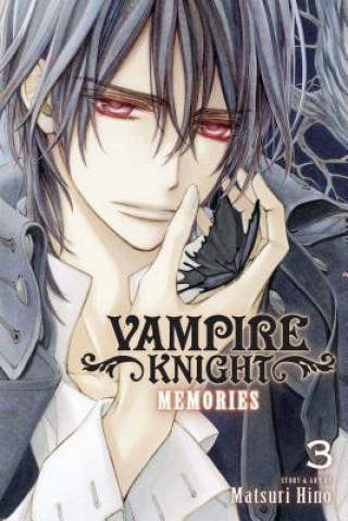Kniha Vampire Knight: Memories, Vol. 3 Matsuri Hino