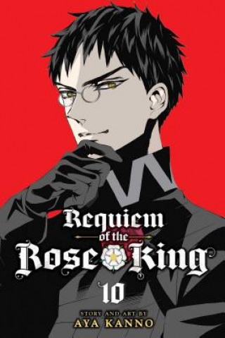 Könyv Requiem of the Rose King, Vol. 10: Volume 10 Aya Kanno