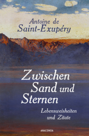 Buch Zwischen Sand und Sternen Antoine de Saint-Exupéry