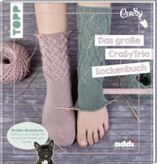 Carte Das große CraSyTrio-Sockenbuch Sylvie Rasch