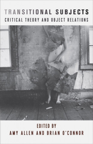 Boek Transitional Subjects Axel Honneth