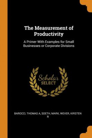 Könyv Measurement of Productivity Thomas A Barocci