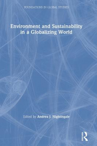 Kniha Environment and Sustainability in a Globalizing World 