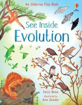 Kniha See Inside Evolution ALICE JAMES   EMILY