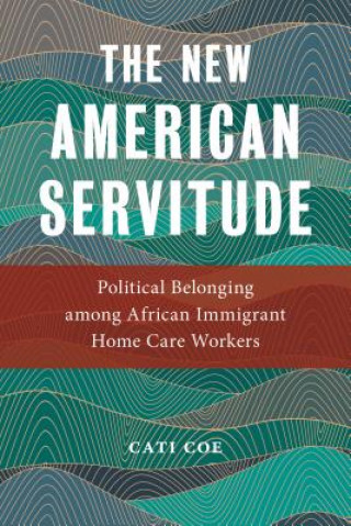 Buch New American Servitude Cati Coe