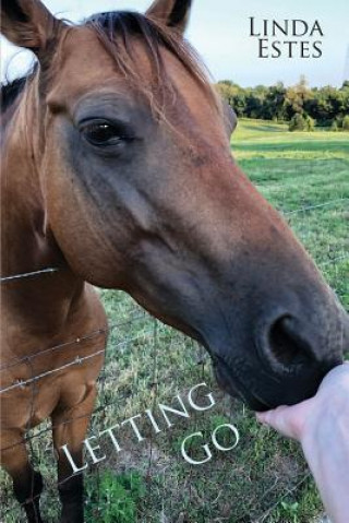 Boek Letting Go Linda Estes