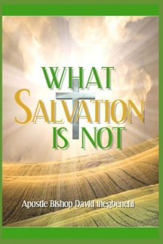 Kniha What Salvation Is Not Apostle Bishop David Jude Inegbenehi