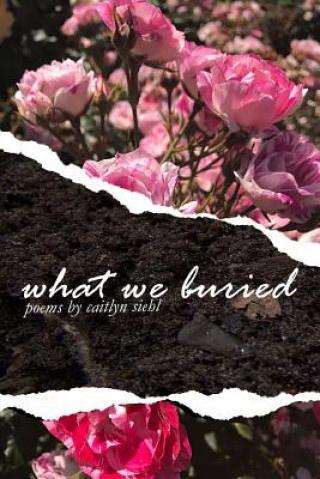 Könyv What We Buried Caitlyn Siehl