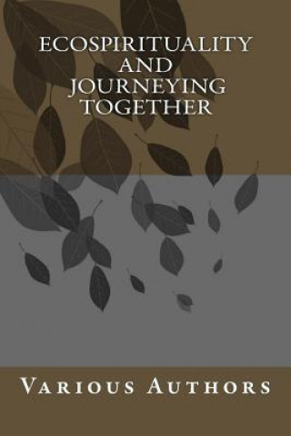 Kniha Eco-spirituality and Journeying Together David Gibson
