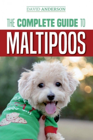 Książka Complete Guide to Maltipoos David Anderson