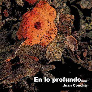 Knjiga En lo profundo Juan E Concha