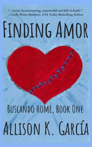 Book Finding Amor Allison K Garcia