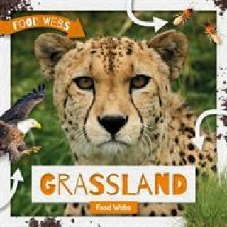 Carte Grassland Food Webs Harriet Brundle