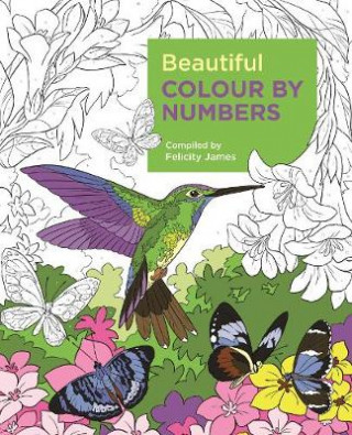 Książka Beautiful Colour by Numbers Arcturus Publishing