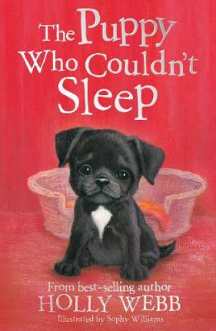 Könyv Puppy Who Couldn't Sleep Holly Webb