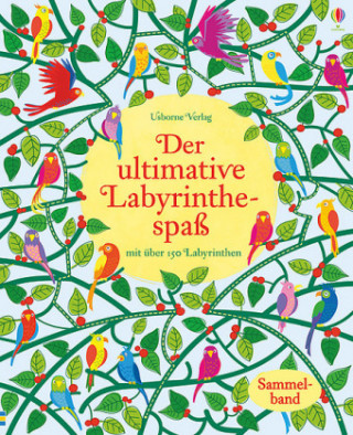 Boek Der ultimative Labyrinthespaß Kirsteen Robson