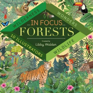 Książka In Focus: Forests Libby Walden