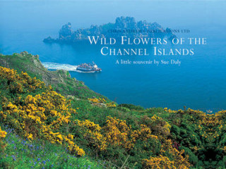 Kniha Wild Flowers of the Channel Islands Little Souvenir Chris Andrews