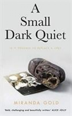 Boek Small Dark Quiet Miranda Gold
