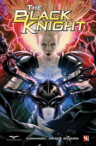 Kniha Black Knight Terry Kavanagh