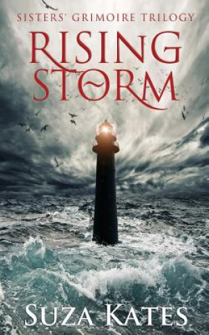 Book Rising Storm Suza Kates