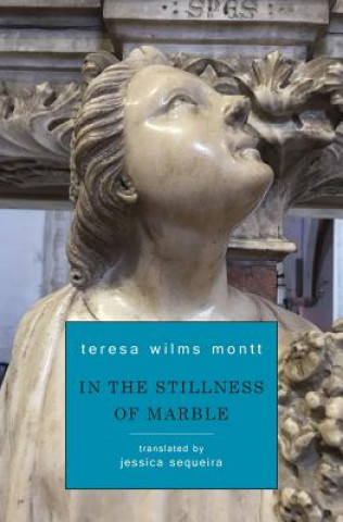 Book In the Stillness of Marble Teresa Wilms Montt