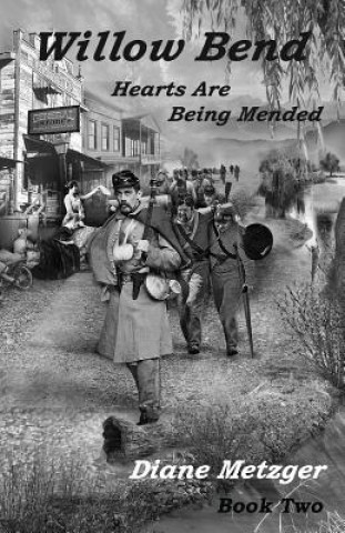Book Willow Bend Diane Metzger