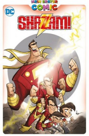 Kniha Mein erster Comic: Shazam! Mike Kunkel