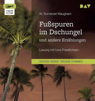 Numérique Fußspuren im Dschungel und andere Erzählungen W. Somerset Maugham