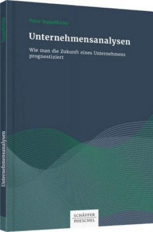 Kniha Unternehmensanalysen Peter Seppelfricke