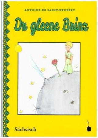 Könyv Dr gleene Brinz Antoine de Saint Exupéry