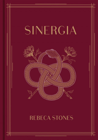 Livro SINERGIA REBECA STONES