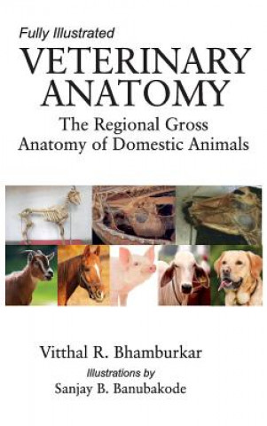 Könyv Veterinary Anatomy R. Vitthal Bhamburkar