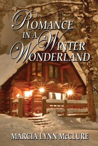 Βιβλίο Romance in a Winter Wonderland Marcia Lynn McClure