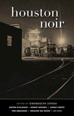 Kniha Houston Noir Tom Abrahams