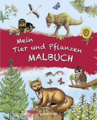 Kniha Mein Tier und Pflanzen Malbuch 
