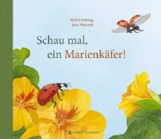 Knjiga Schau mal, ein Marienkäfer! Bärbel Oftring