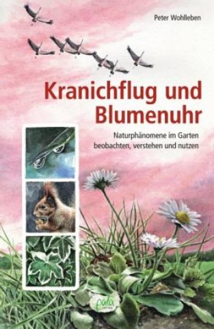 Kniha Kranichflug und Blumenuhr Peter Wohlleben