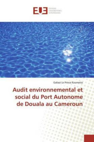 Könyv Audit environnemental et social du Port Autonome de Douala au Cameroun Galiazi Le Prince Koumetio